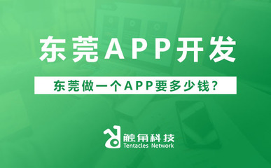 東莞APP軟件開發費用解析 從需求到落地的預算構成